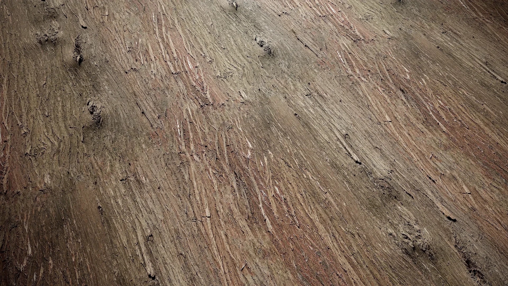 Lindera megaphylla Low-poly 3D model_26