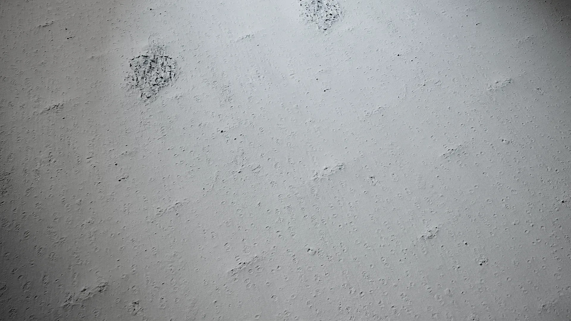 Magnolia officinalis Low-poly 3D model_2