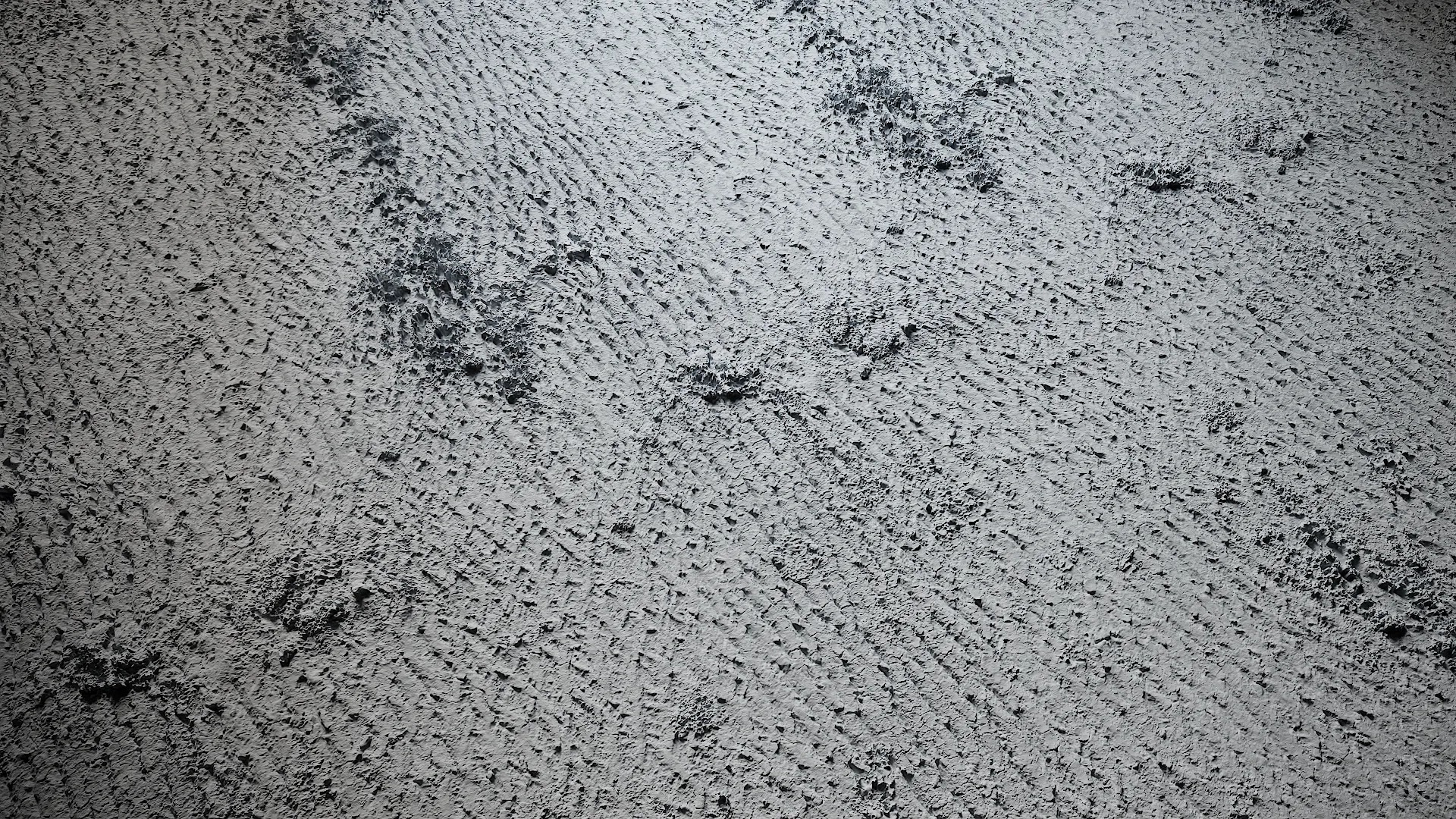 Magnolia officinalis Low-poly 3D model_4