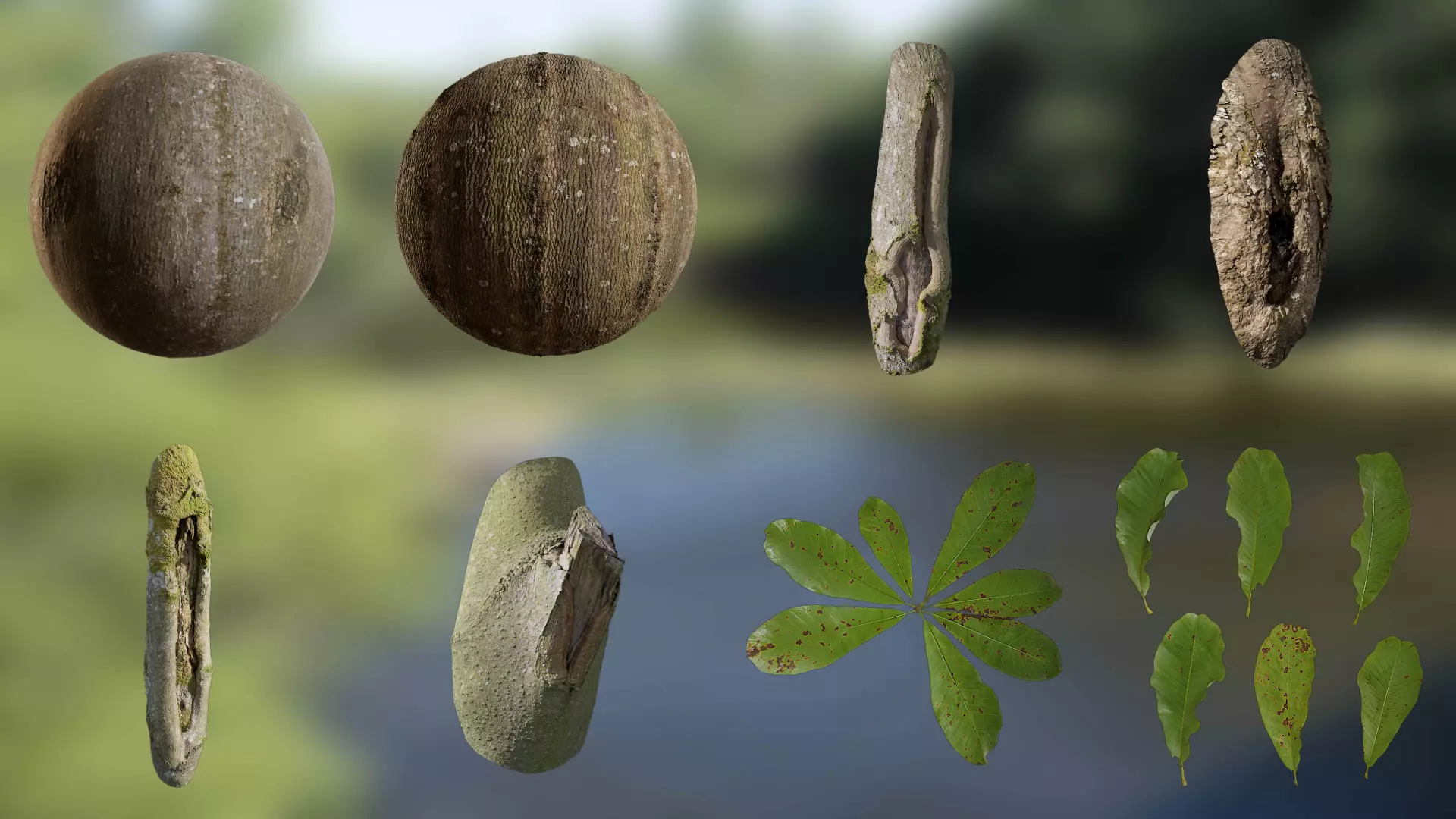 Magnolia officinalis Low-poly 3D model_0