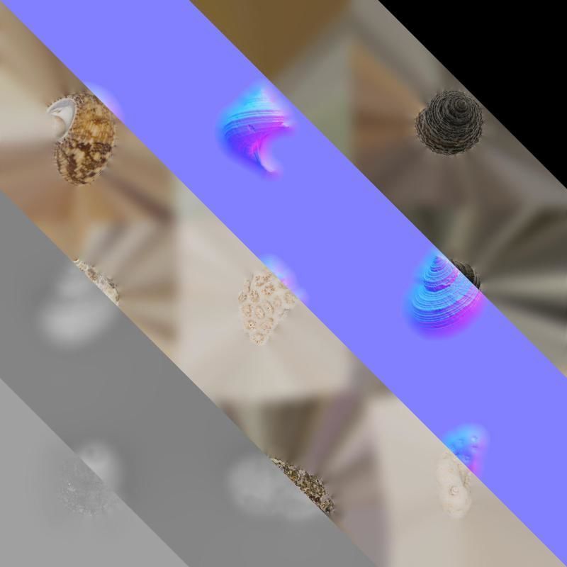 Anydrafts Conch 01 Texture_8