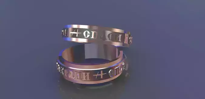 wedding ring save and preserve  3D print model