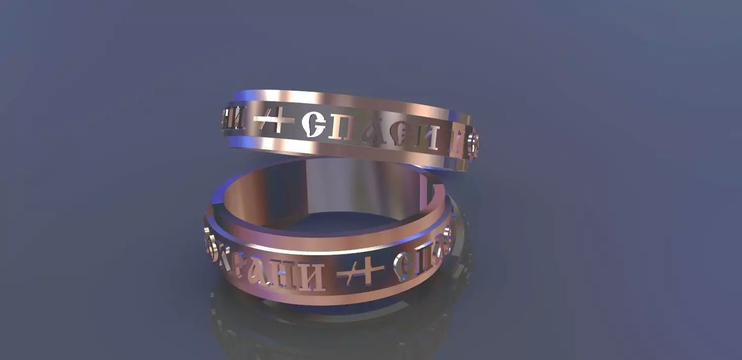 wedding ring save and preserve  3D print model_0
