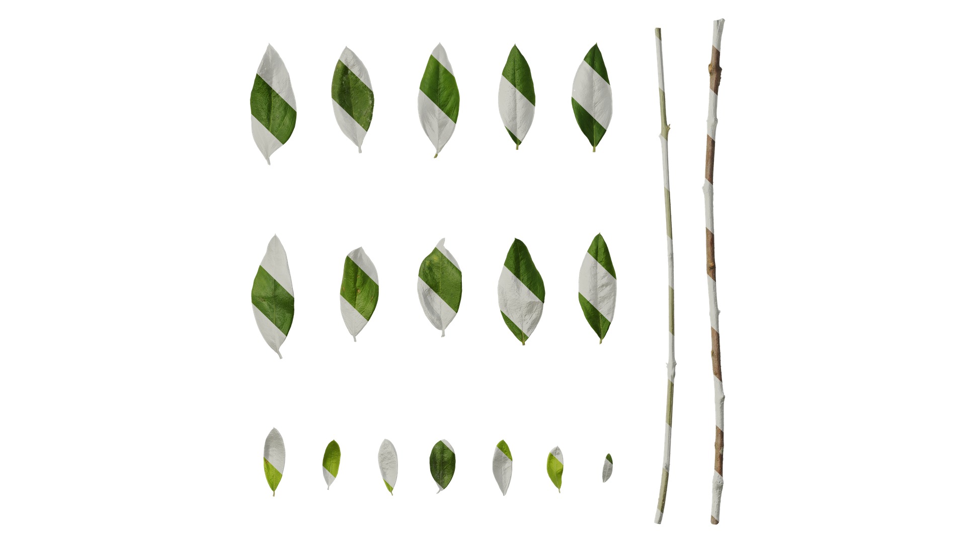 Olea europaea Low-poly 3D model_124