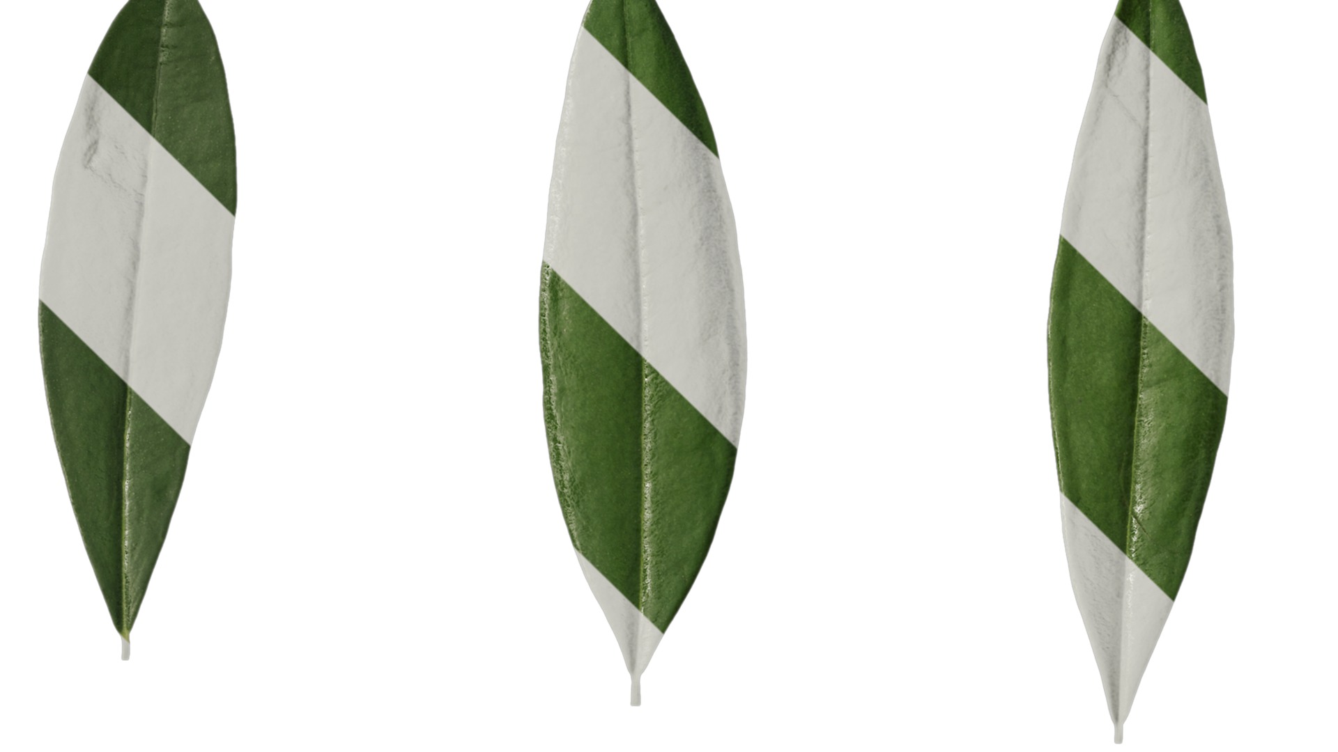 Olea europaea Low-poly 3D model_108