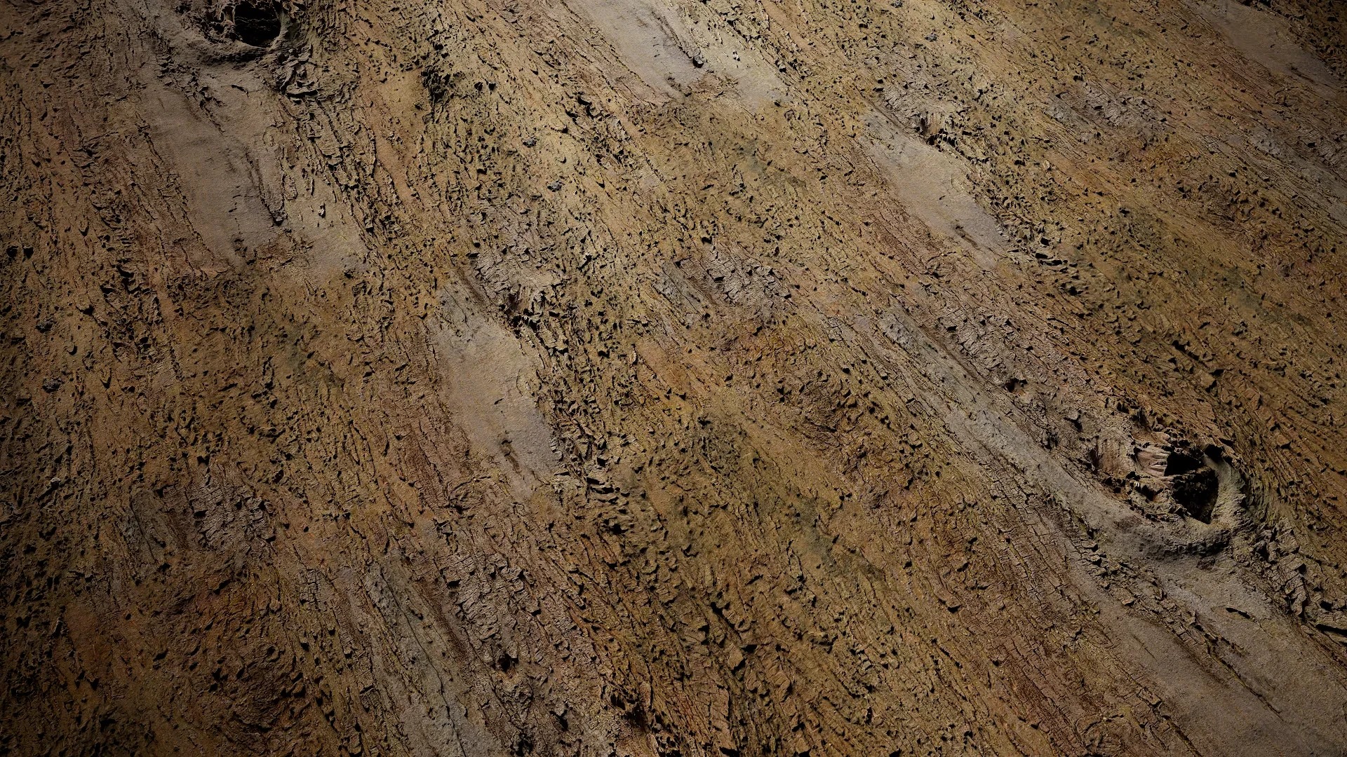 Olea europaea Low-poly 3D model_19