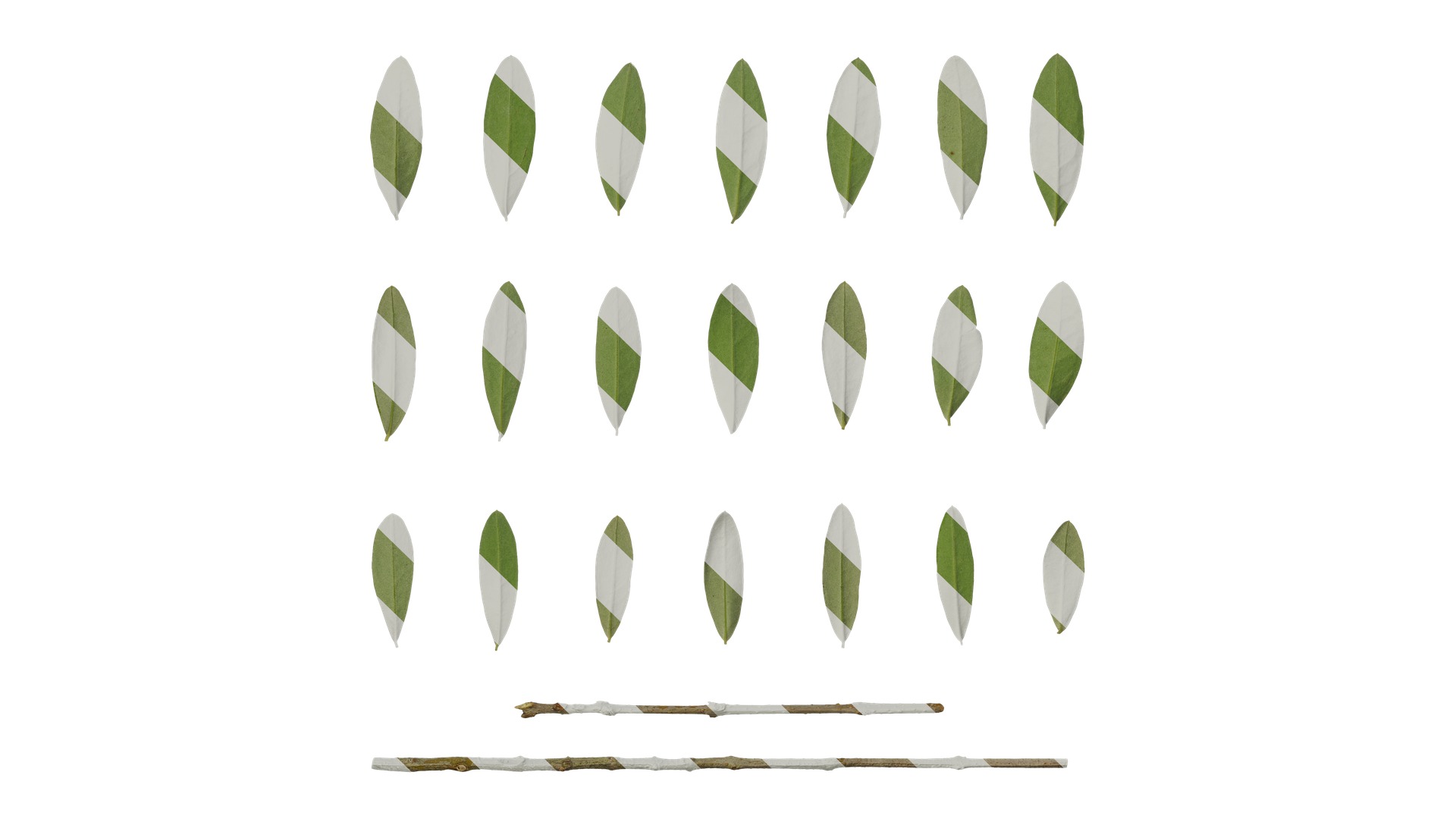 Olea europaea Low-poly 3D model_118