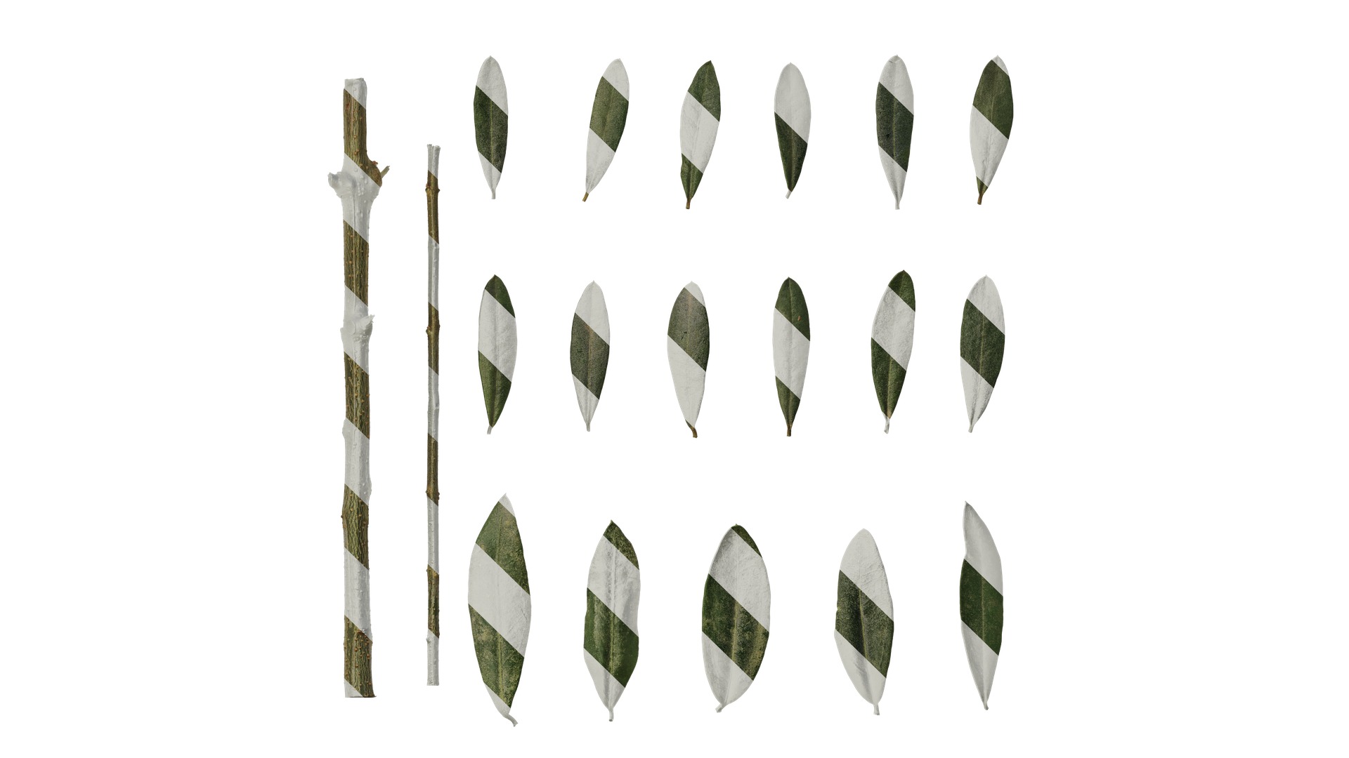 Olea europaea Low-poly 3D model_71