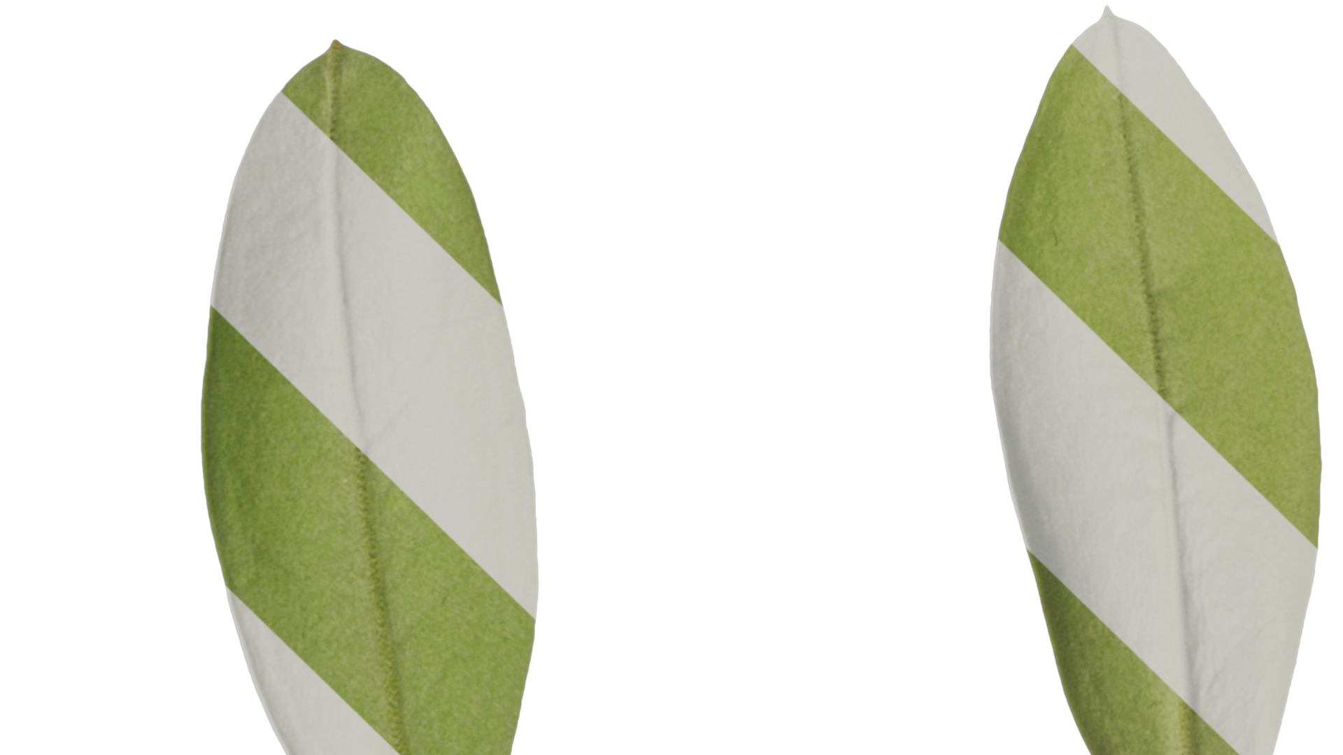 Olea europaea Low-poly 3D model_114