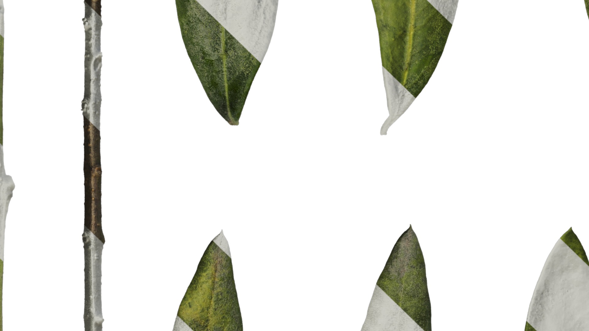 Olea europaea Low-poly 3D model_76