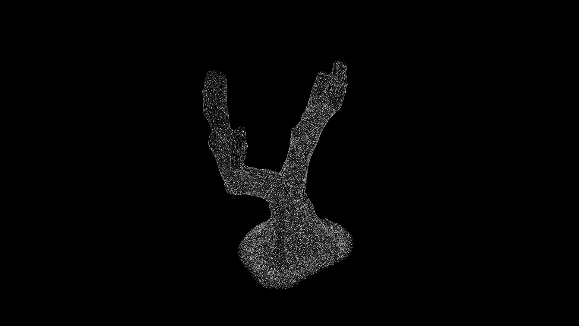 Olea europaea Low-poly 3D model_18