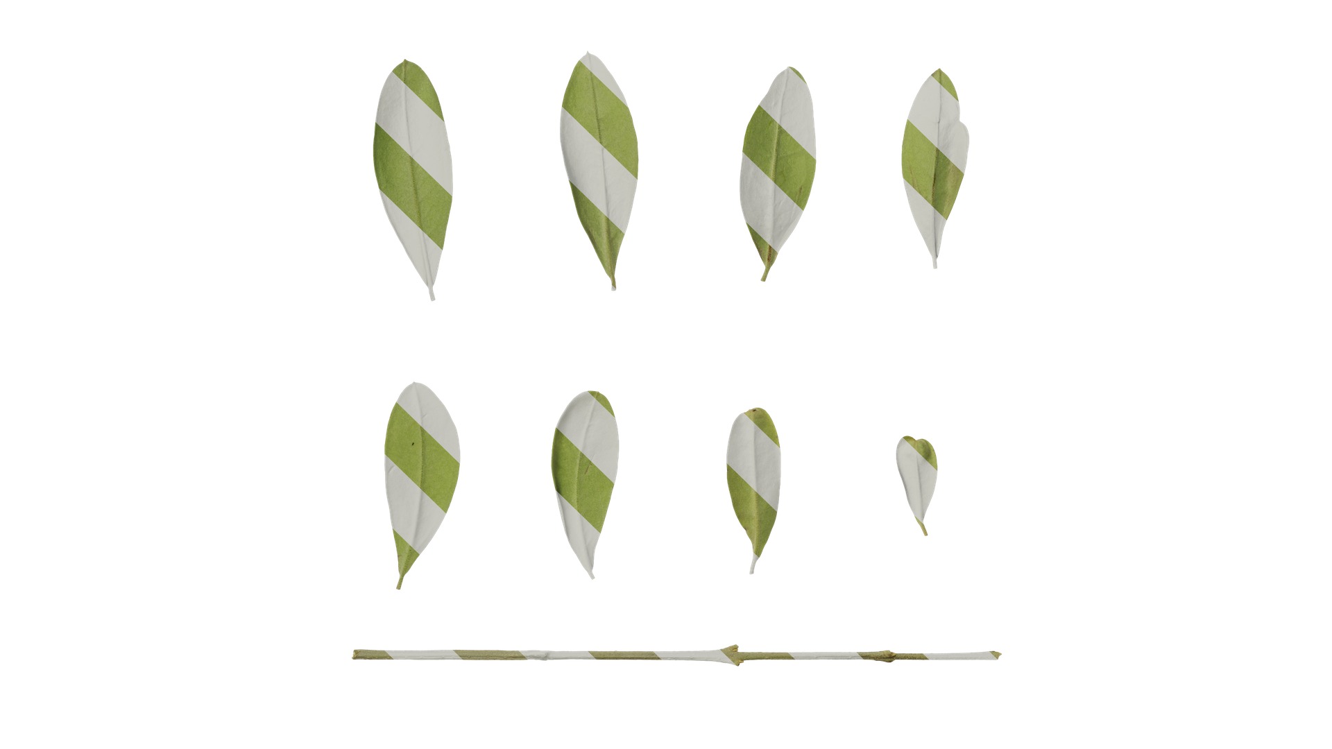 Olea europaea Low-poly 3D model_113