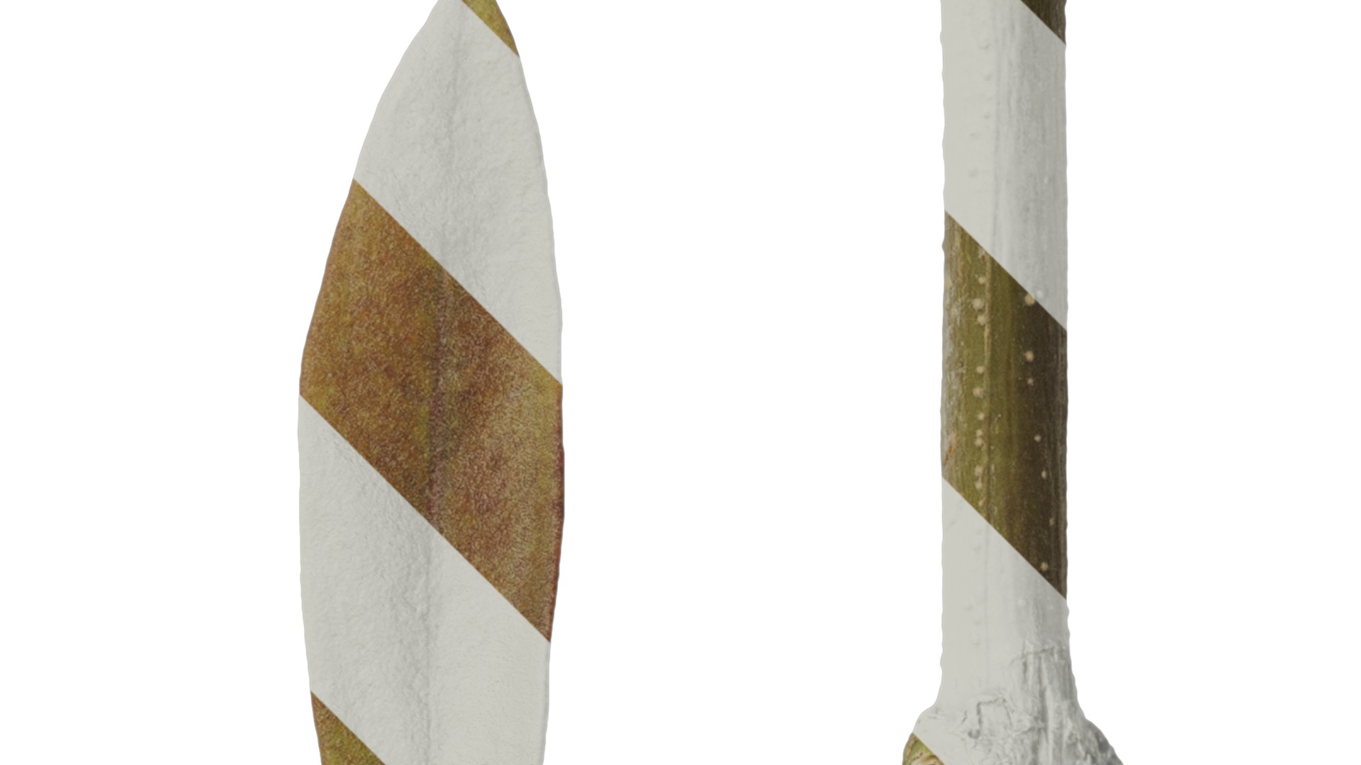 Olea europaea Low-poly 3D model_117