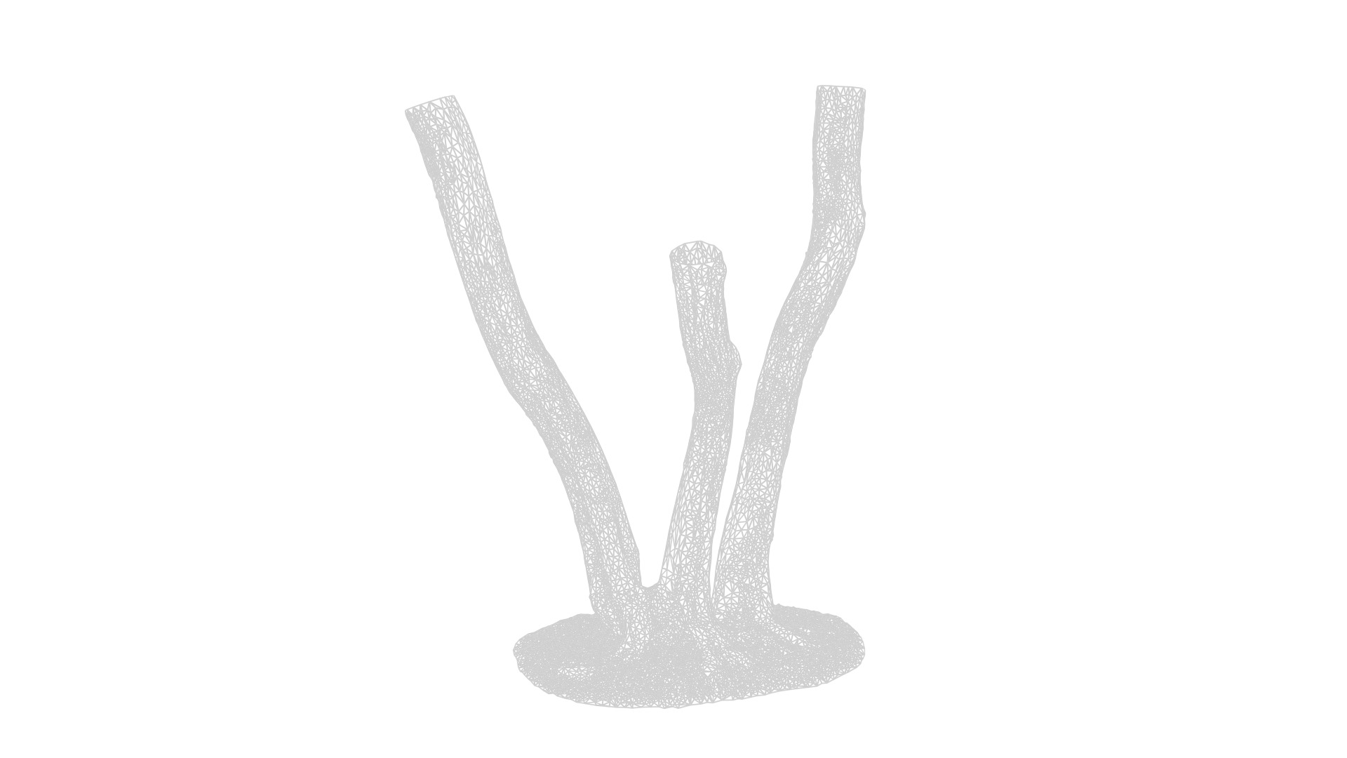 Olea europaea Low-poly 3D model_6