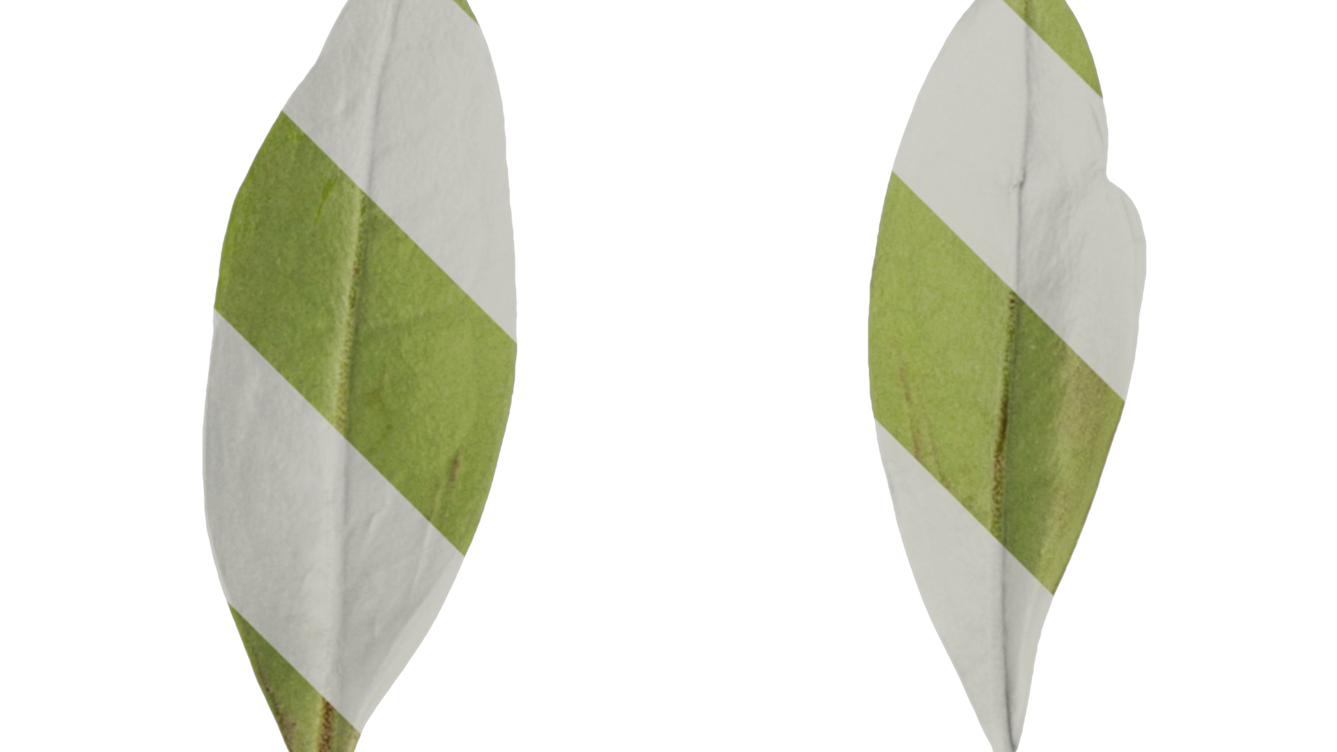 Olea europaea Low-poly 3D model_115