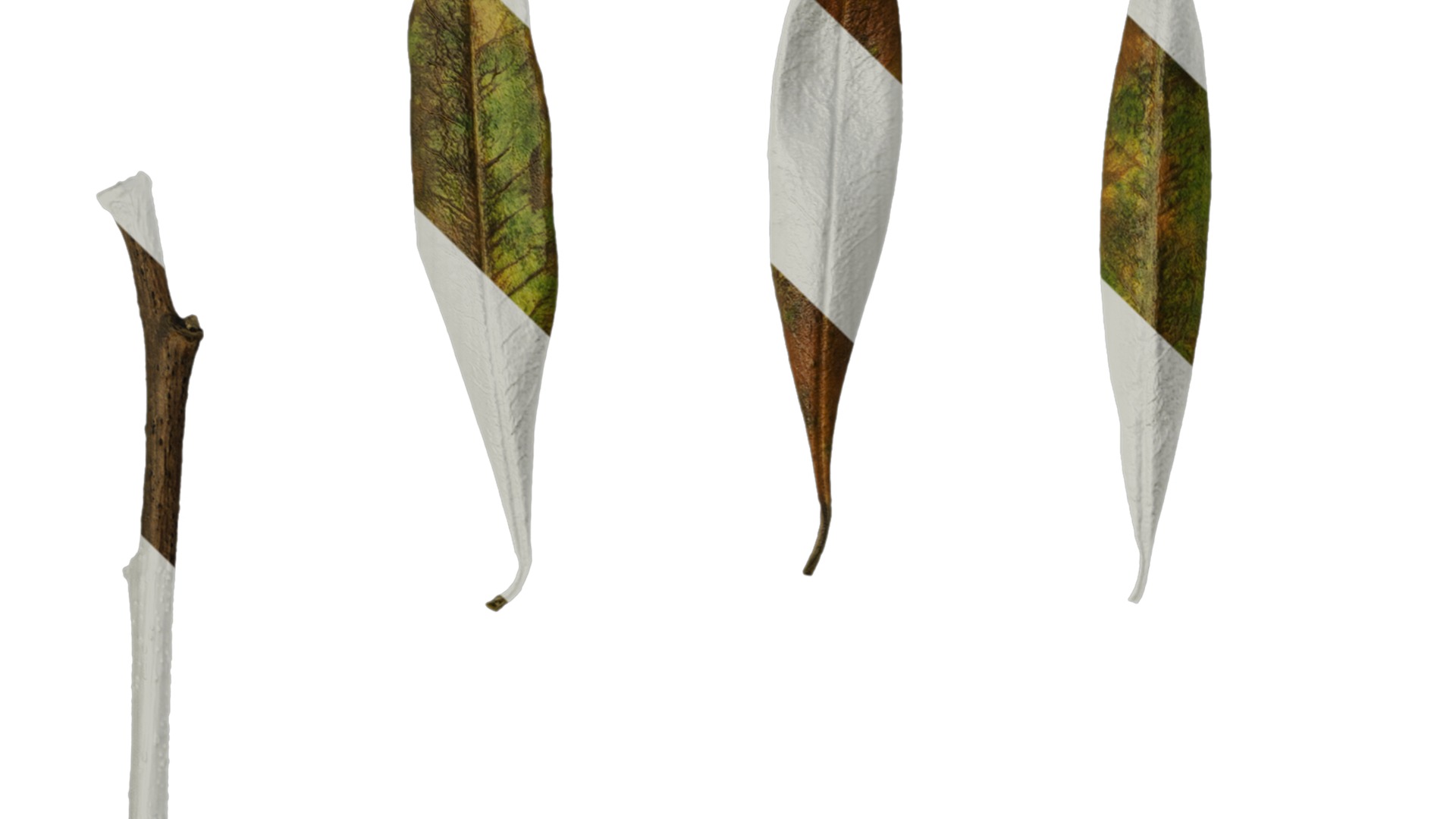 Olea europaea Low-poly 3D model_130