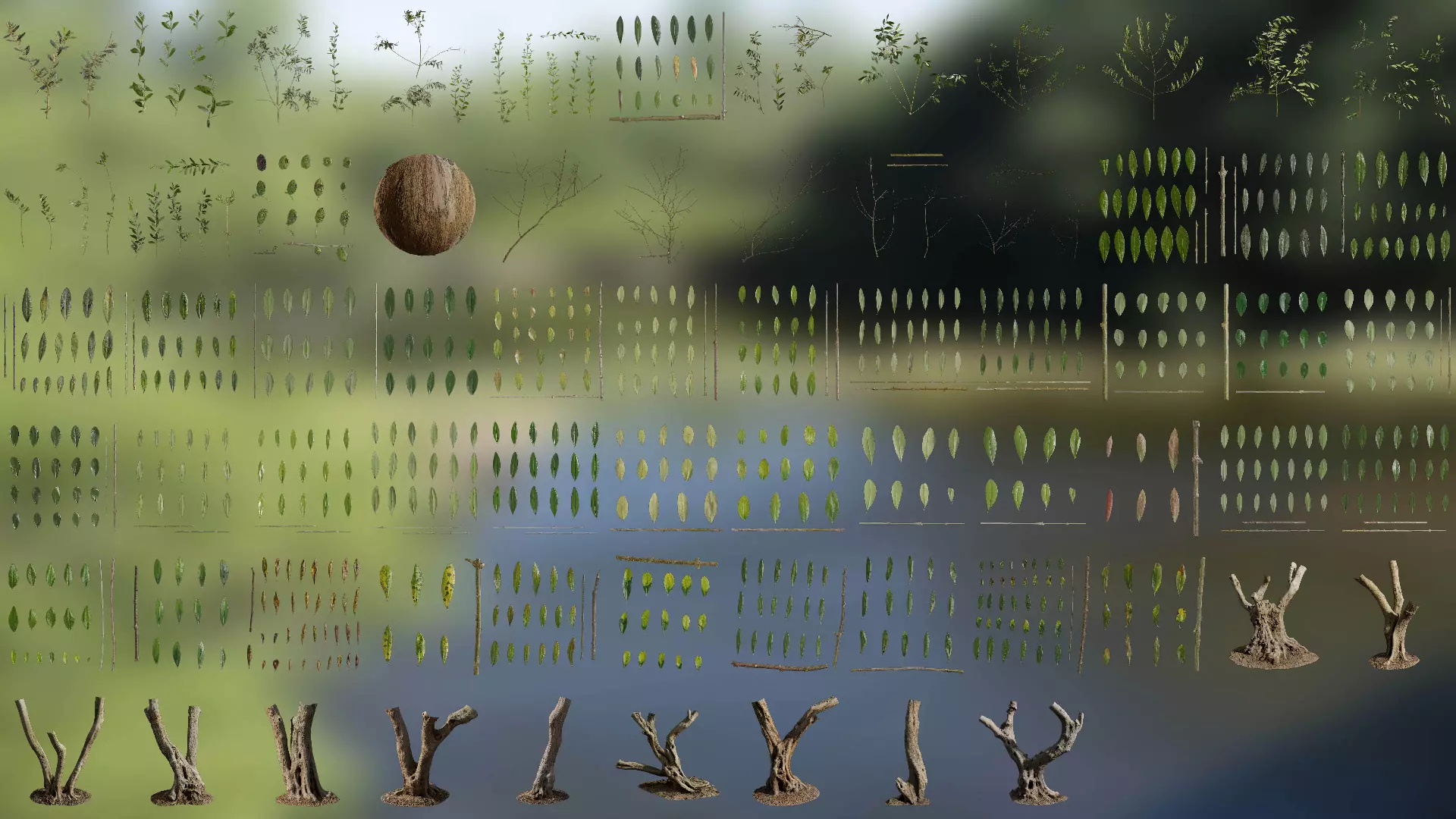 Olea europaea Low-poly 3D model_0