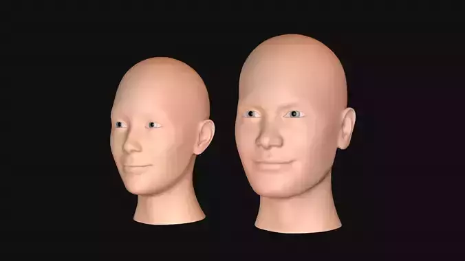 Male and Female Head