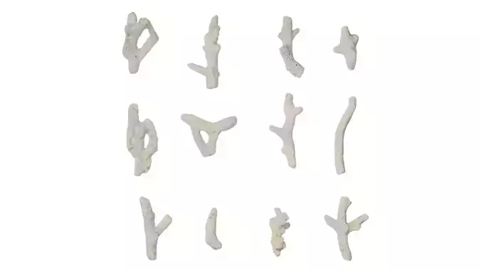 Anydrafts Coral reefs 01