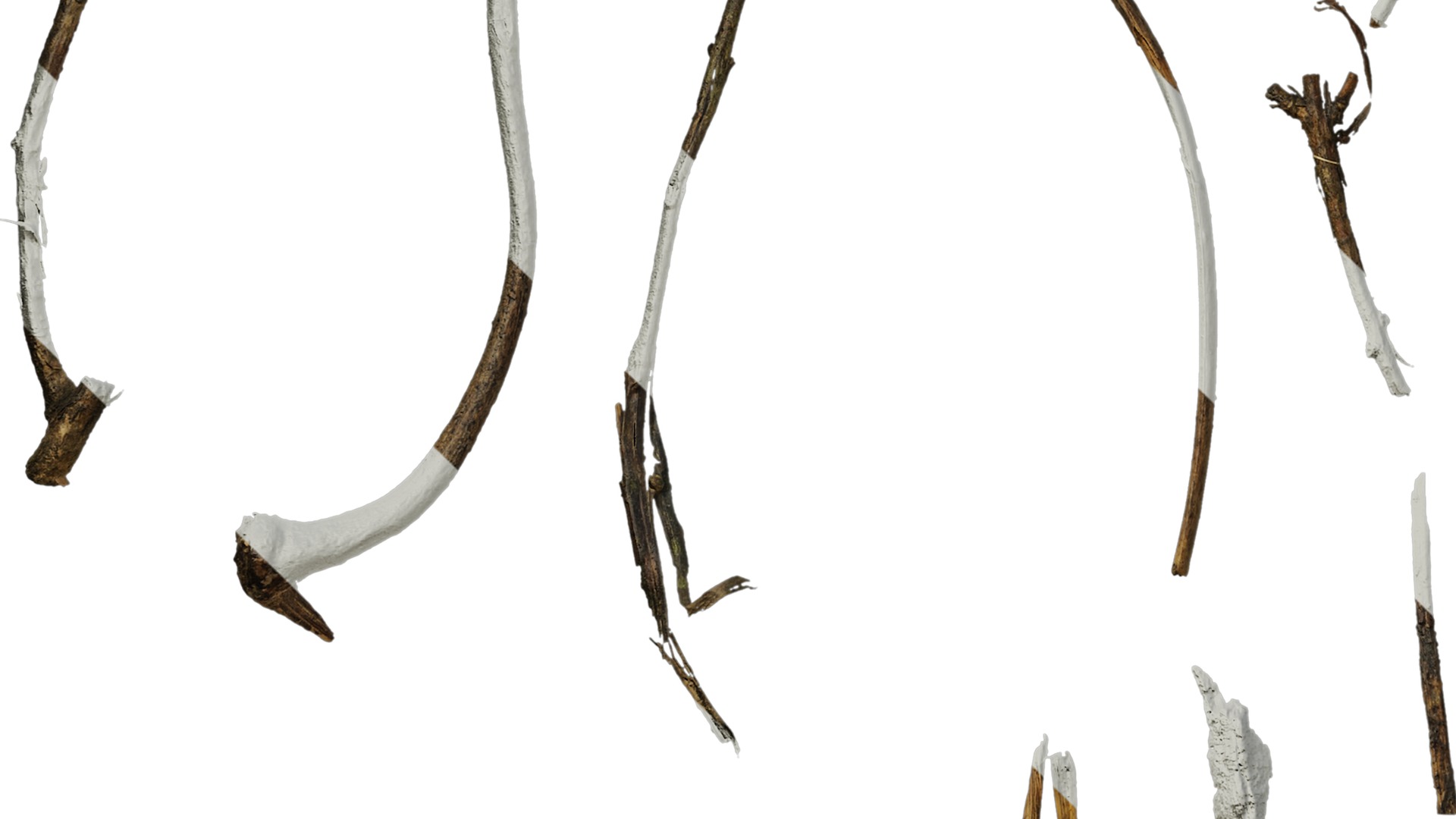 Anydrafts Dead branch 03 Texture_5