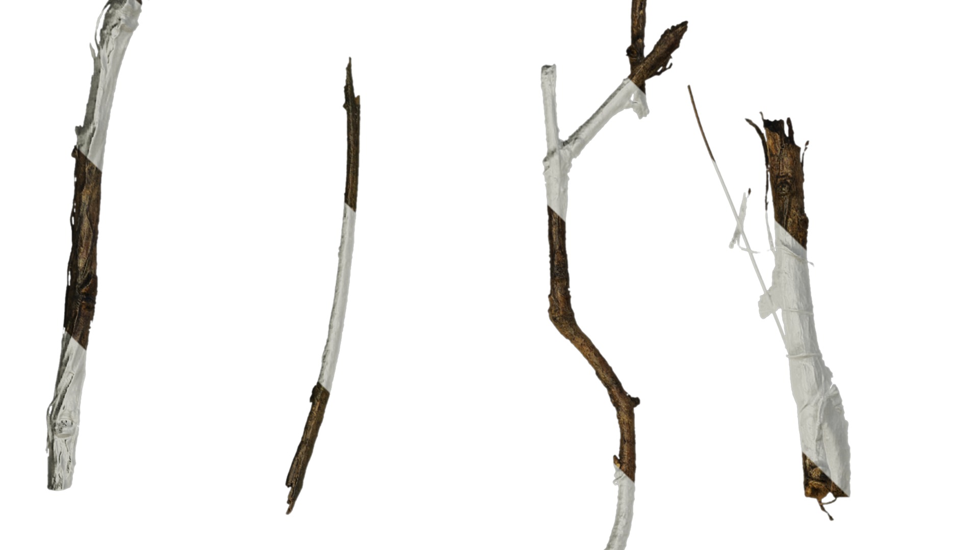 Anydrafts Dead branch 03 Texture_1