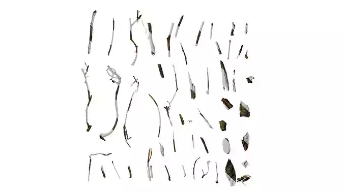 Anydrafts Dead branch 03