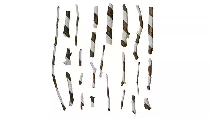 Anydrafts Dead branch 04