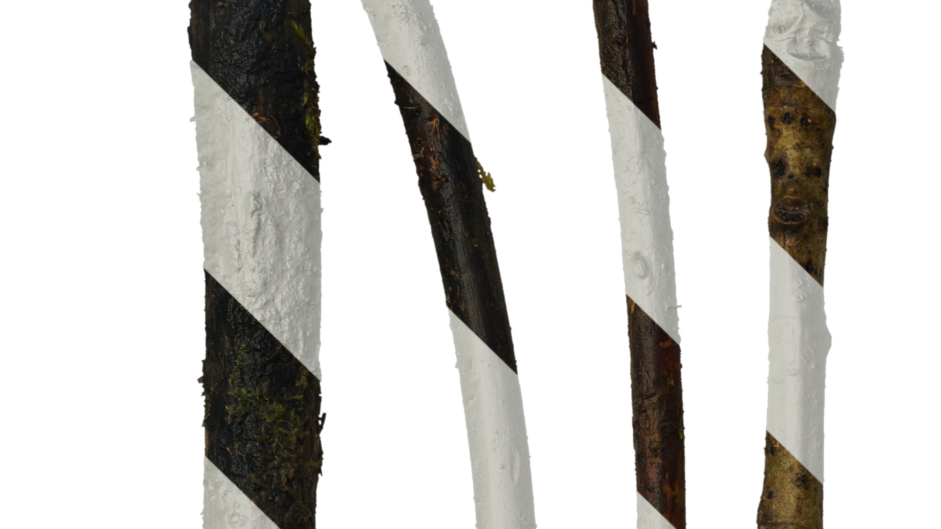 Anydrafts Dead branch 07 Texture_1