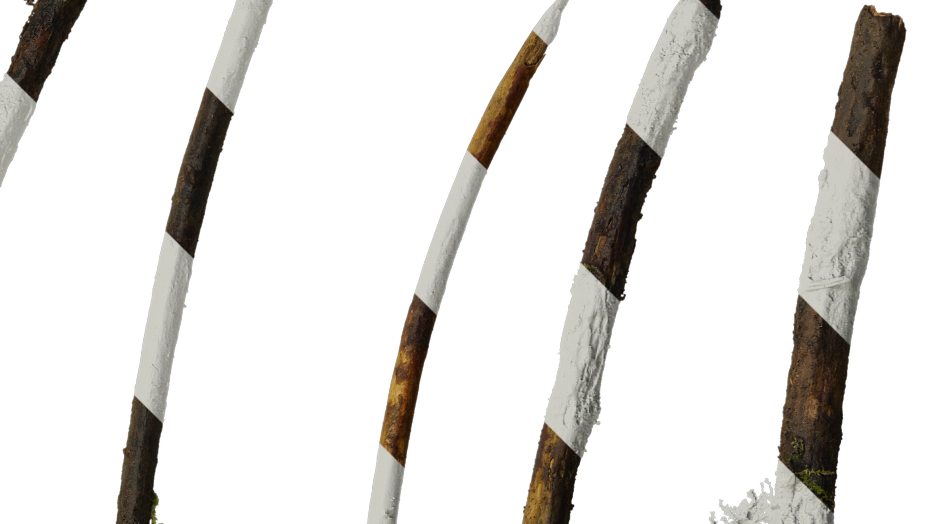 Anydrafts Dead branch 07 Texture_2