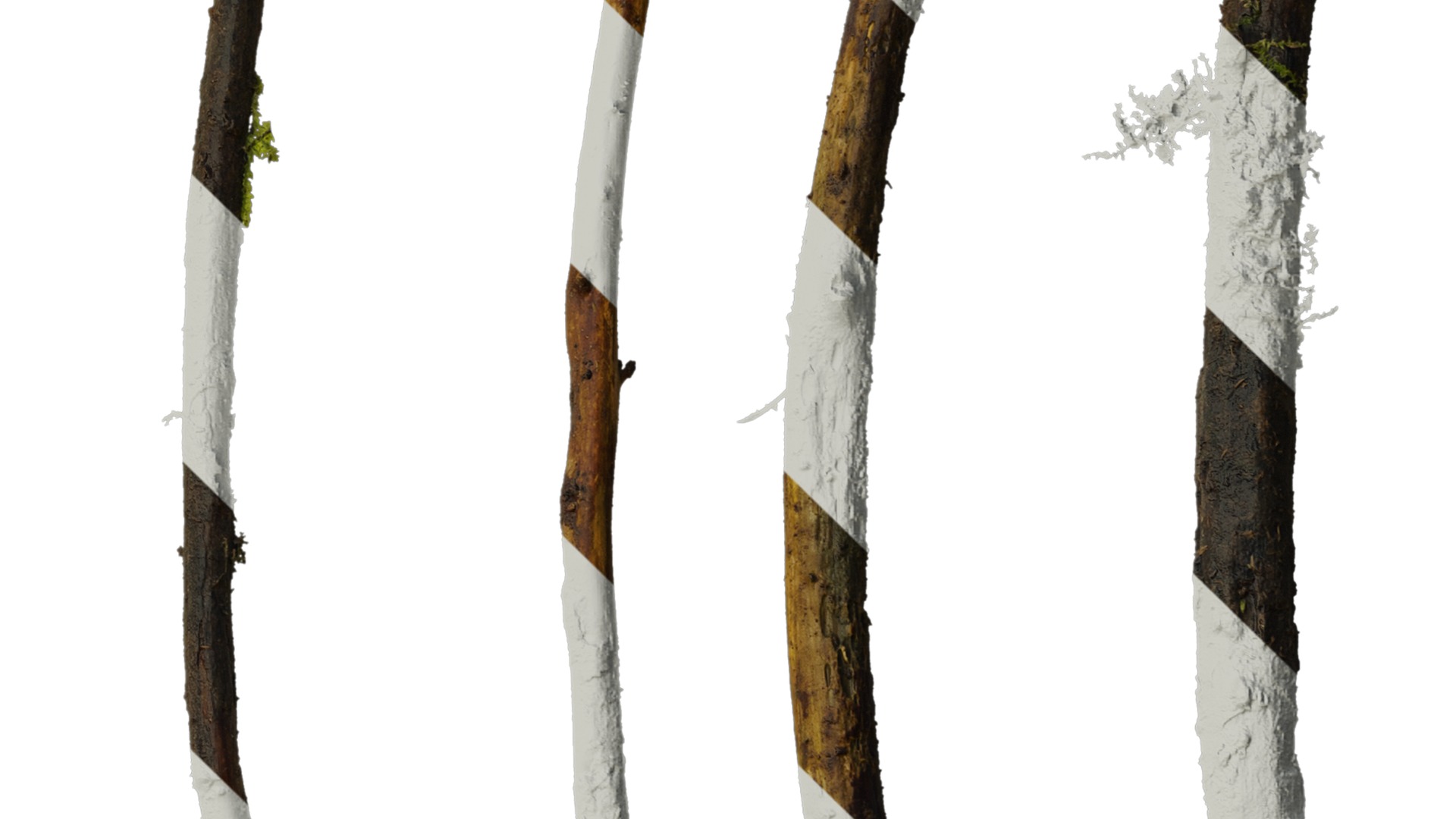 Anydrafts Dead branch 07 Texture_4