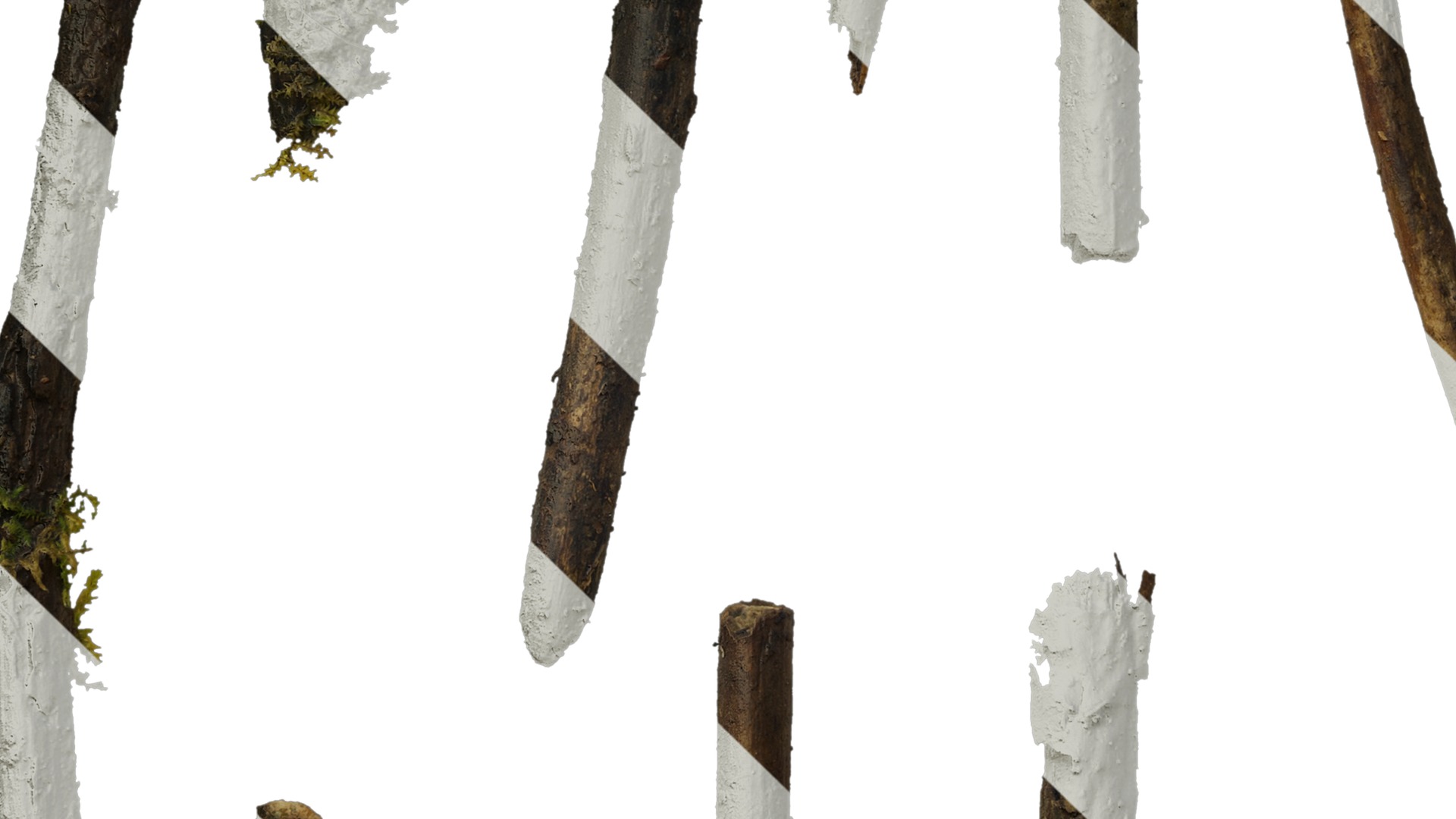 Anydrafts Dead branch 07 Texture_5