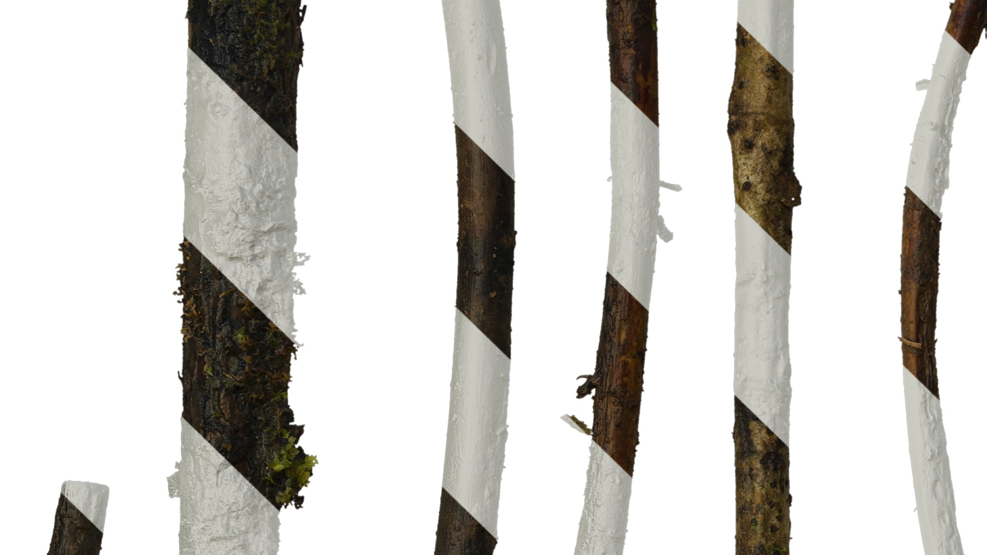 Anydrafts Dead branch 07 Texture_3