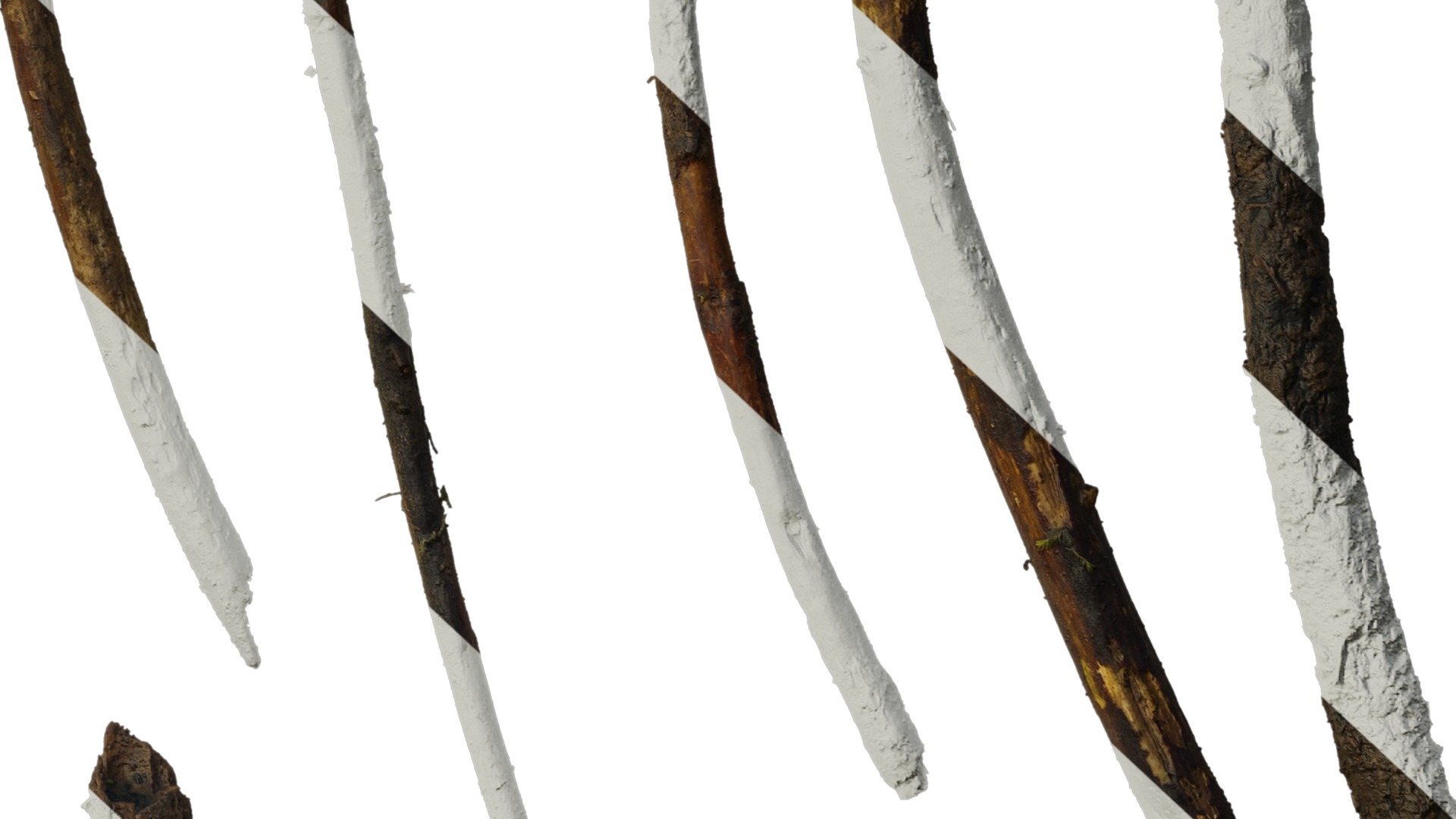 Anydrafts Dead branch 07 Texture_6