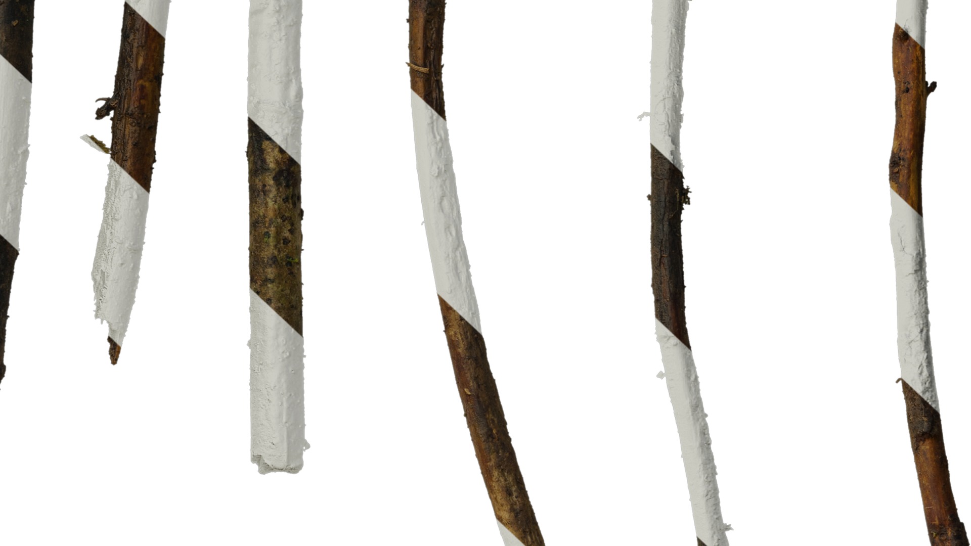 Anydrafts Dead branch 07 Texture_7