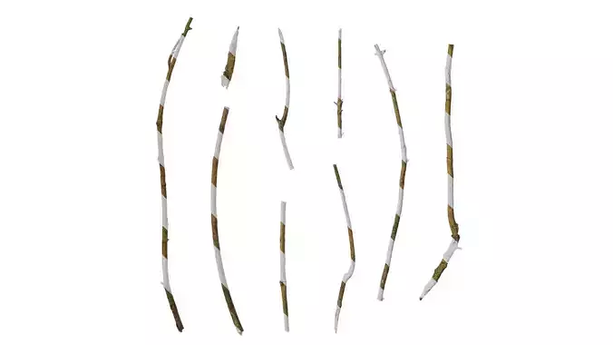 Anydrafts Dead branch 19