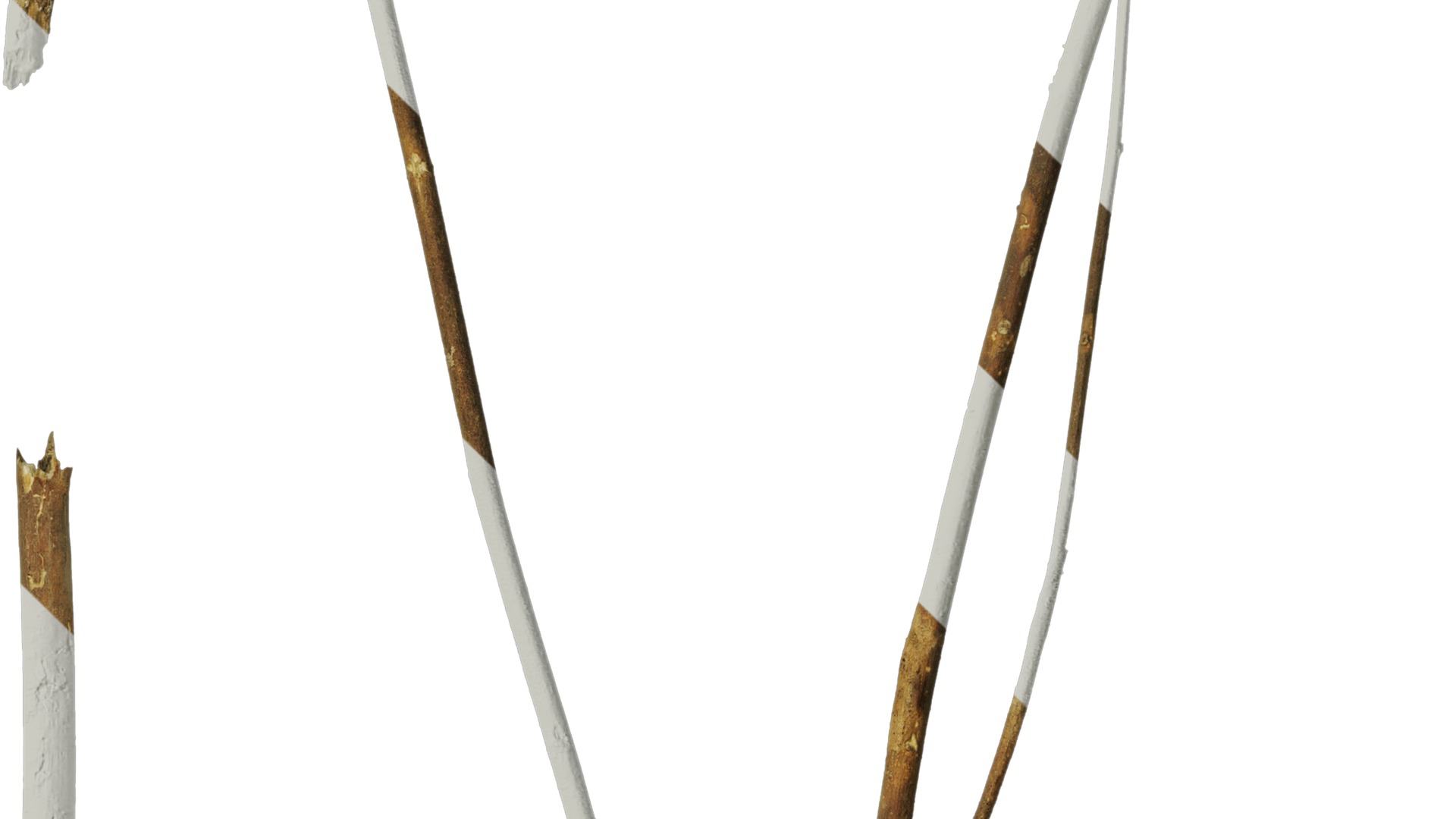 Anydrafts Dead branch 20 Texture_4