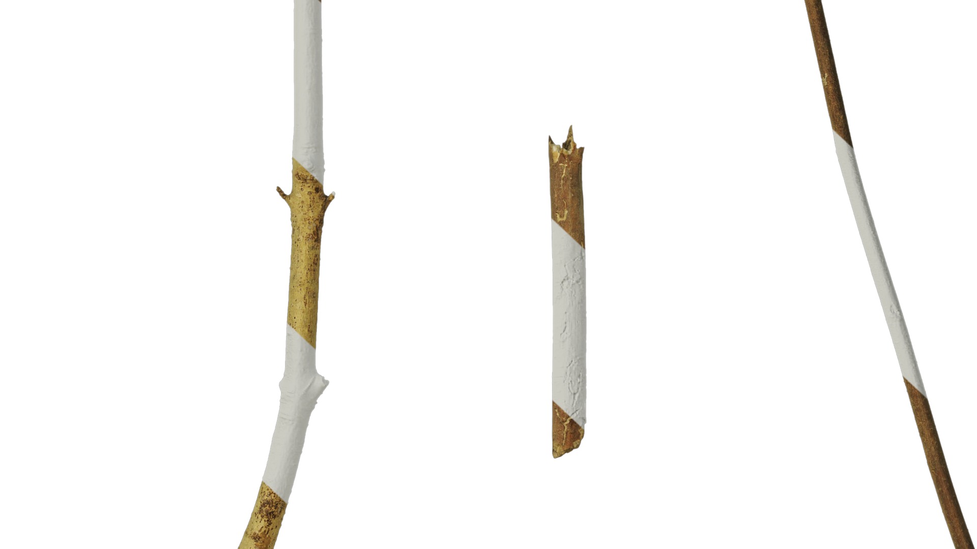 Anydrafts Dead branch 20 Texture_7