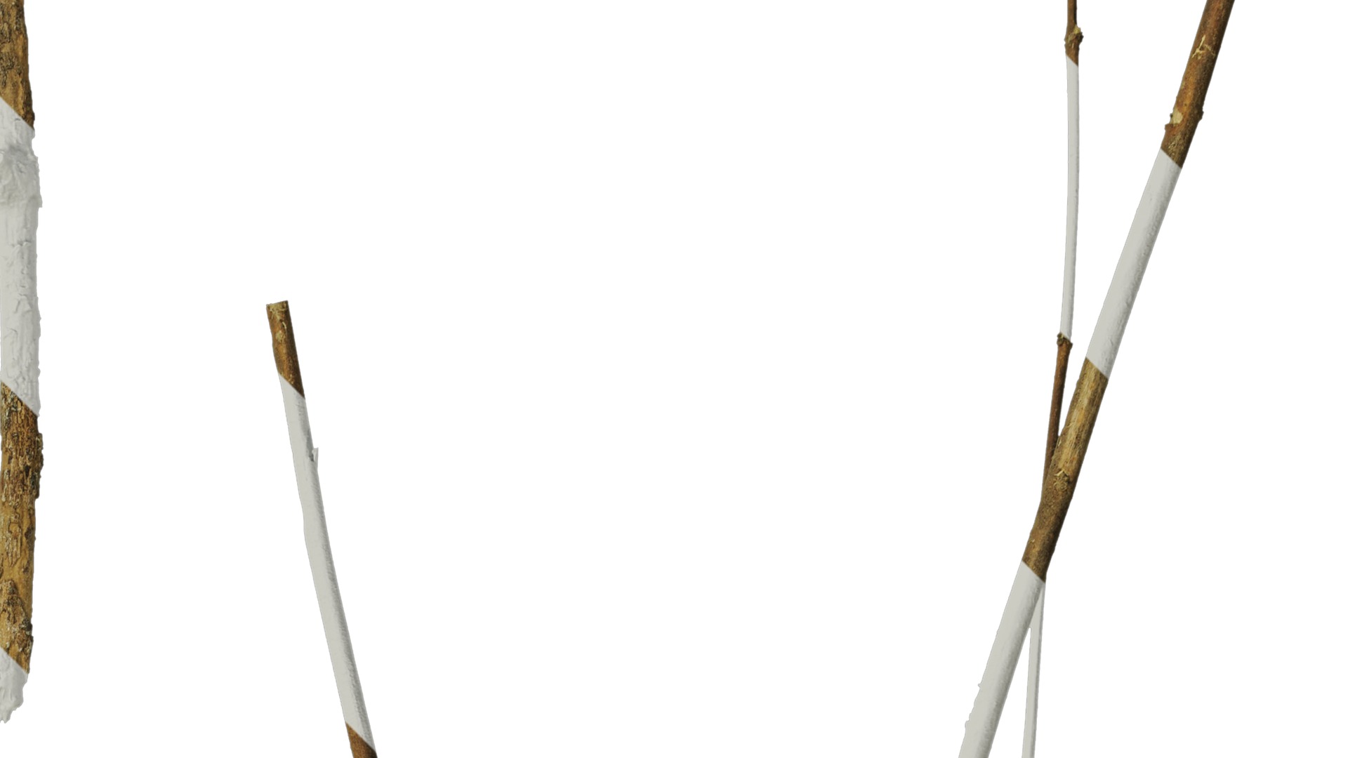 Anydrafts Dead branch 20 Texture_2