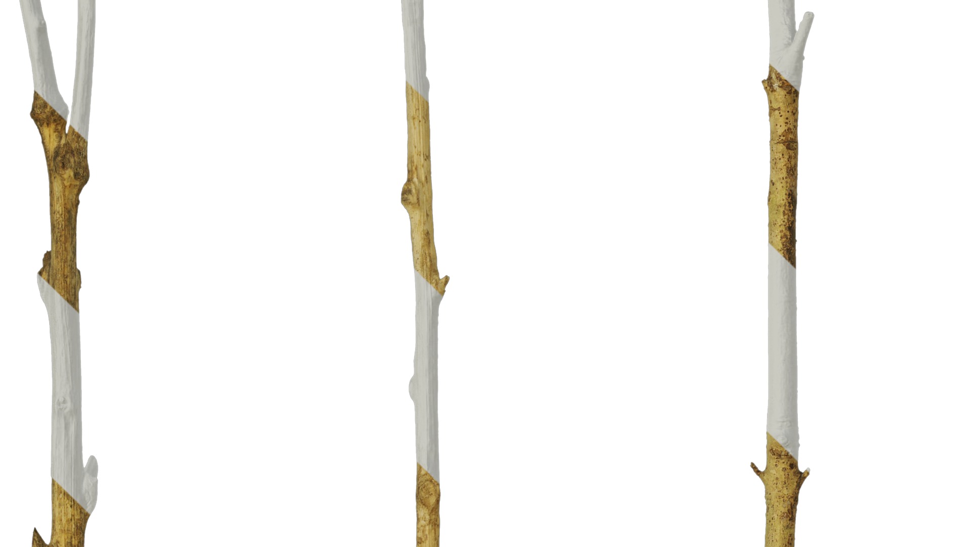 Anydrafts Dead branch 20 Texture_3