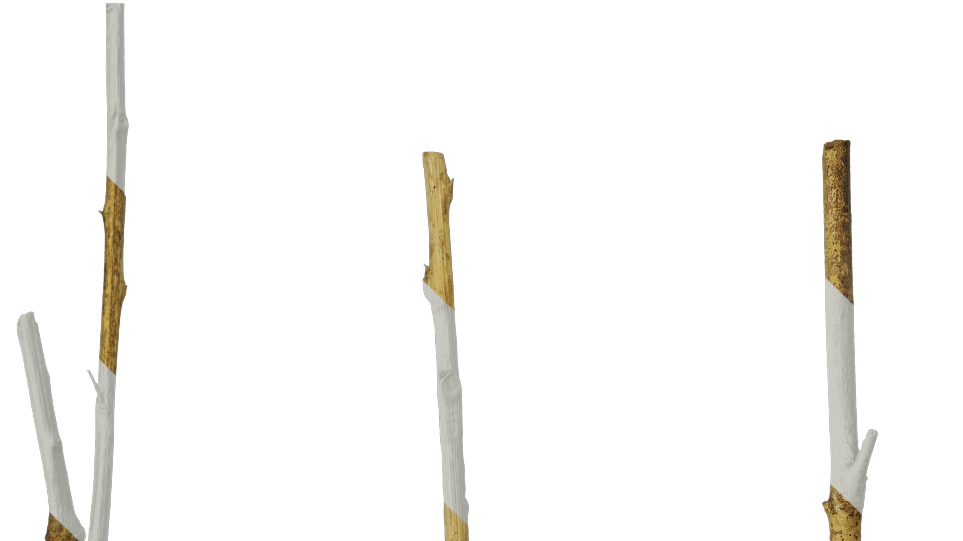 Anydrafts Dead branch 20 Texture_1