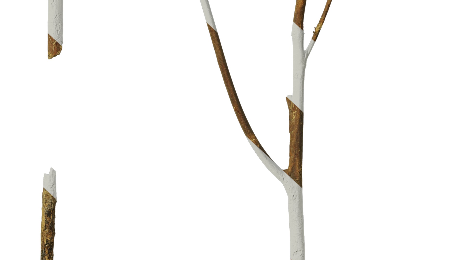 Anydrafts Dead branch 20 Texture_6