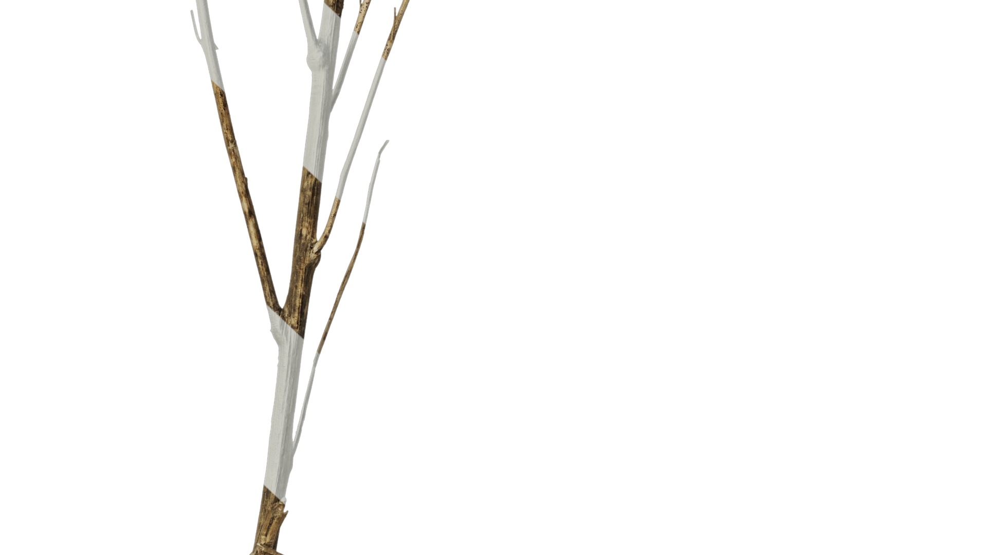 Anydrafts Dead branch 25 Texture_7