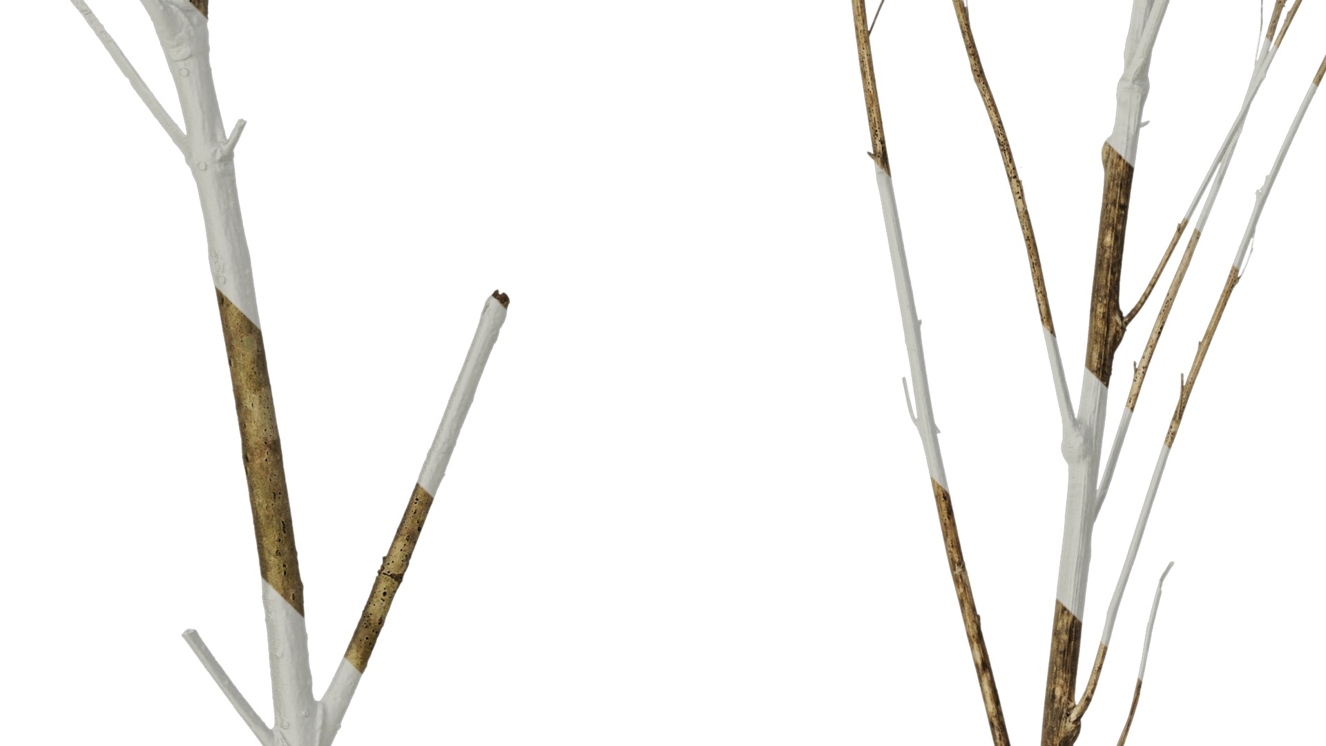 Anydrafts Dead branch 25 Texture_3