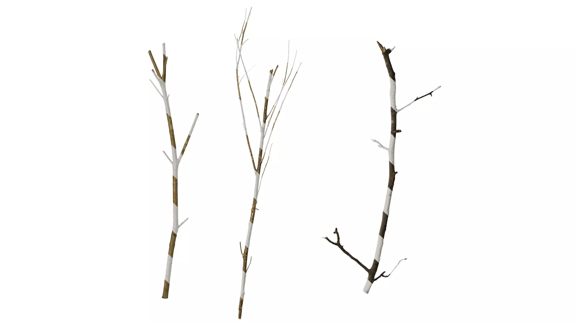 Anydrafts Dead branch 25 Texture_0