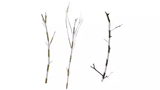 Anydrafts Dead branch 25