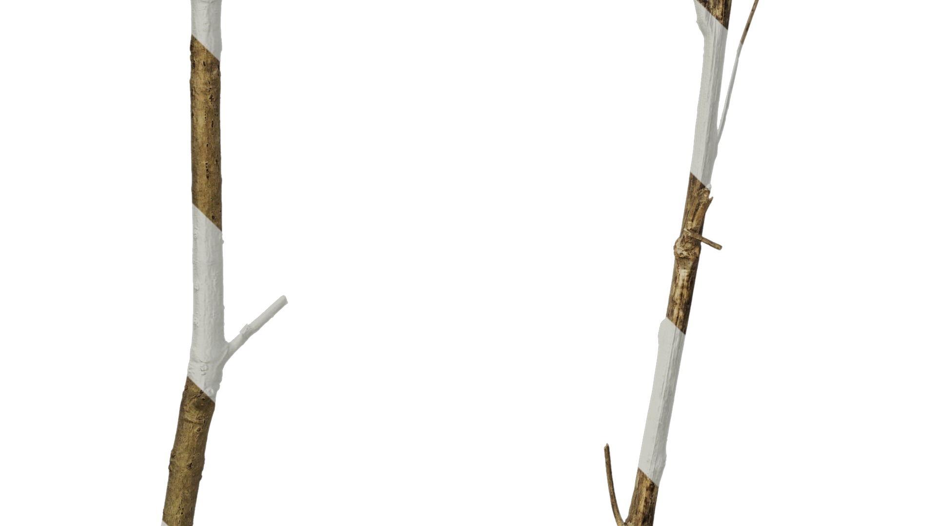 Anydrafts Dead branch 25 Texture_5