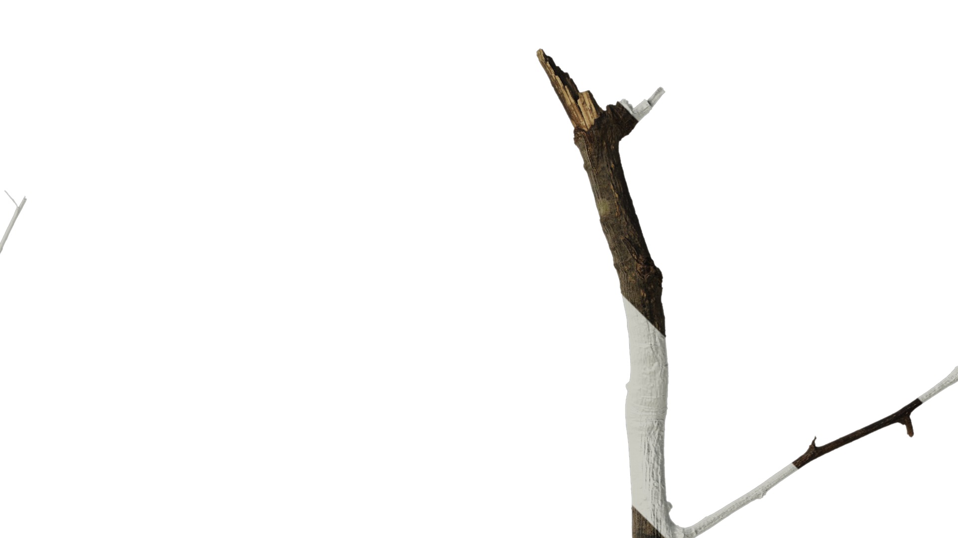 Anydrafts Dead branch 25 Texture_2