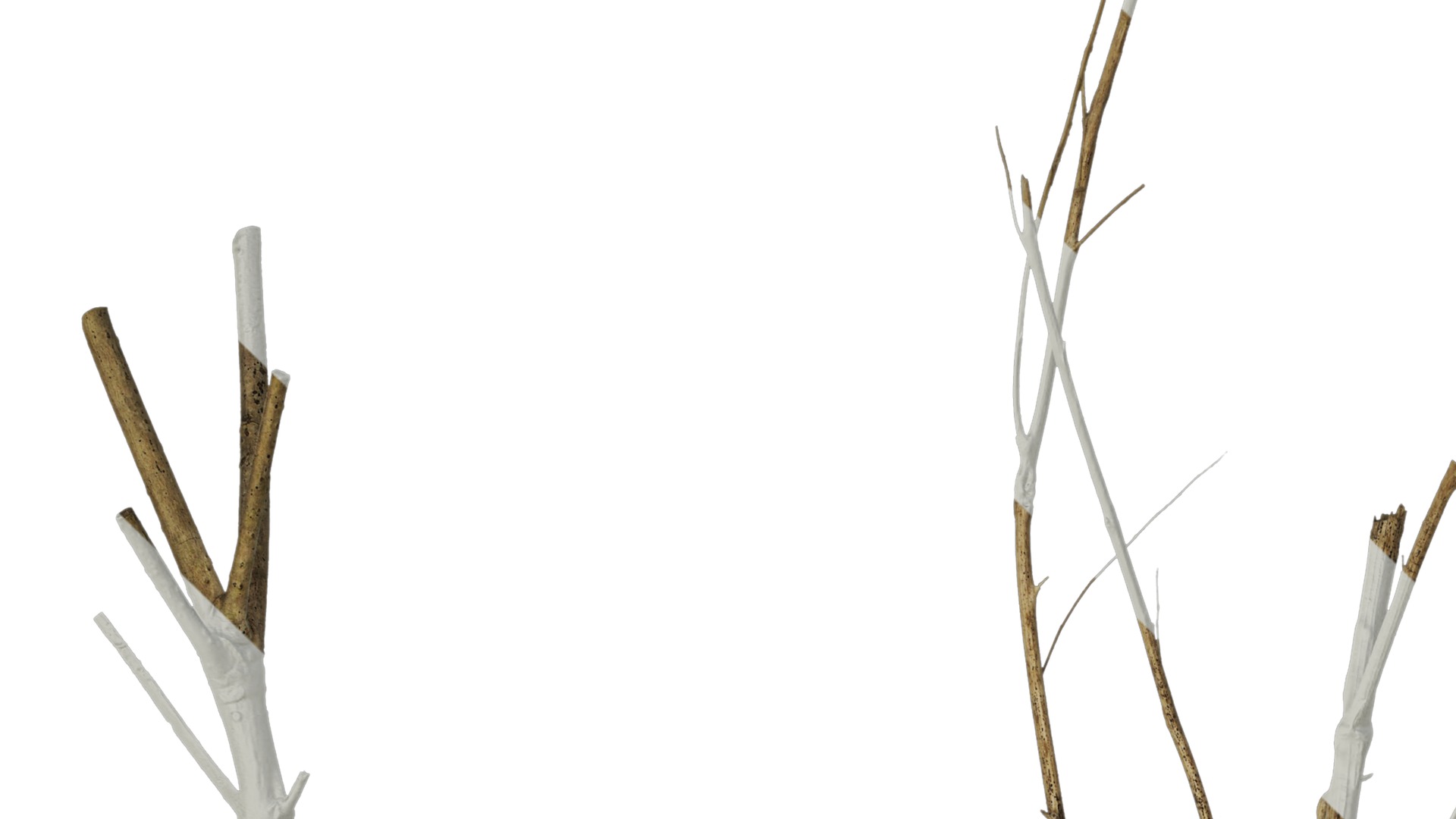 Anydrafts Dead branch 25 Texture_1