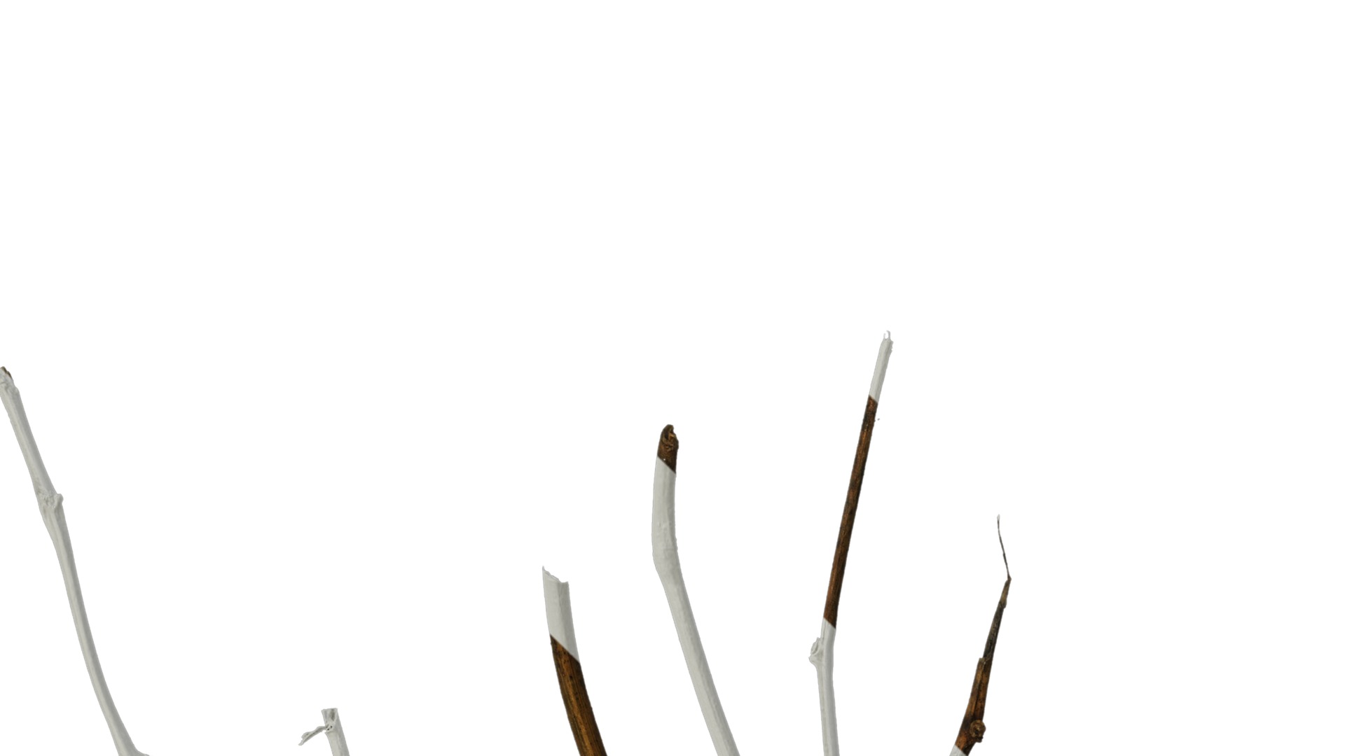 Anydrafts Dead branch 26 Texture_1