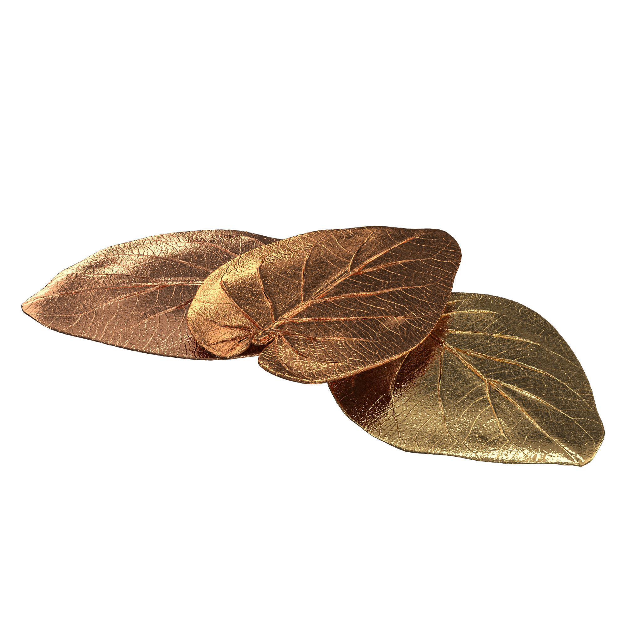 Decorative bronze leaf set 3D model_1